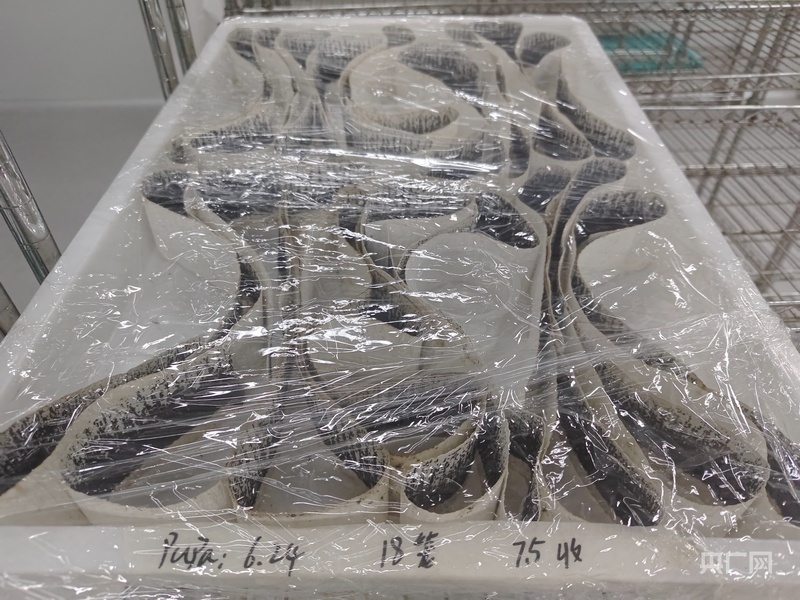 Trung Quốc thả 5 triệu con muỗi mỗi tuần giữa tâm dịch Chikungunya- Ảnh 3.