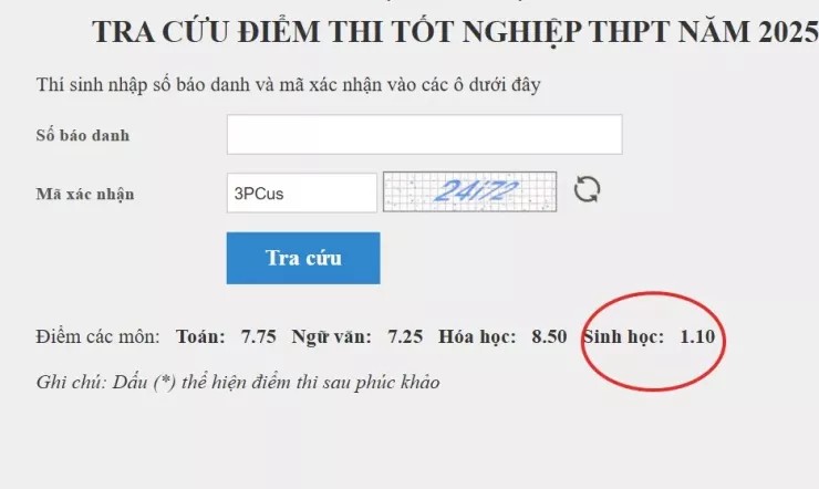 Từ 1,1 lên 8,75 điểm sau phúc khảo: Bài thi tốt nghiệp THPT ở Lào Cai gây chú ý- Ảnh 2. Từ 1,1 lên 8,75 điểm sau phúc khảo: Bài thi tốt nghiệp THPT ở Lào Cai gây chú ý- Ảnh 2.