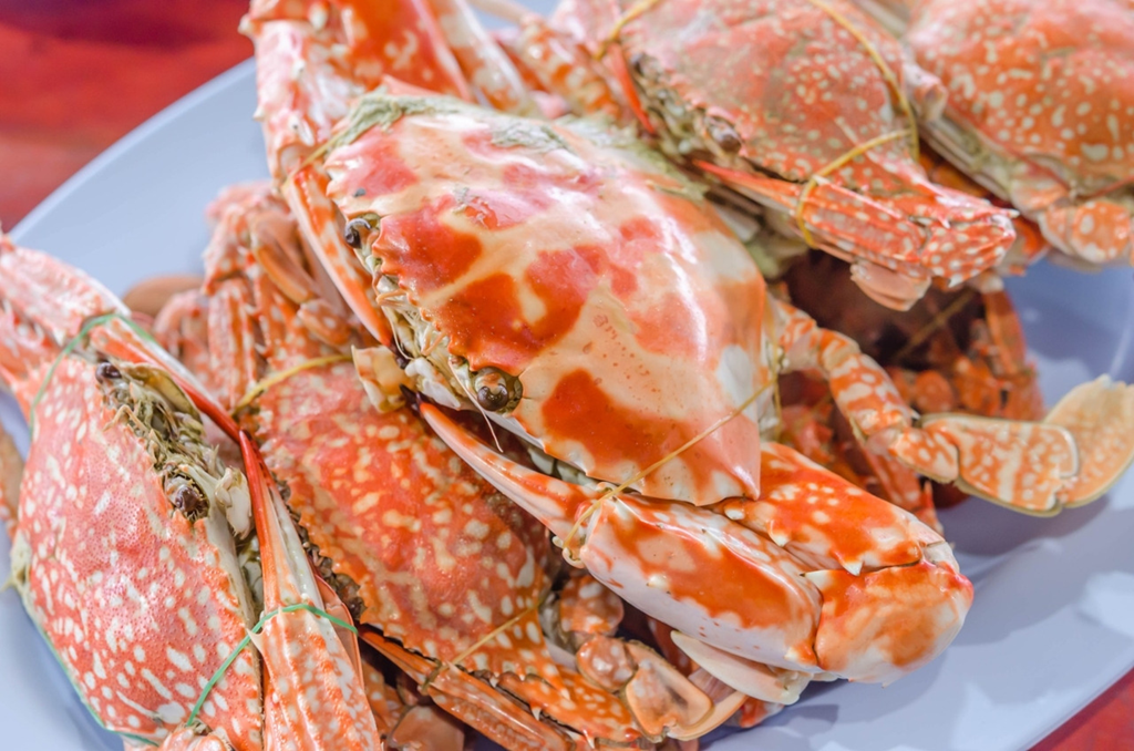 5 loại cá tự nhiên, không thể nuôi nhân tạo, ít xương giàu dinh dưỡng, gặp là nên mua ngay kẻo hết- Ảnh 2.