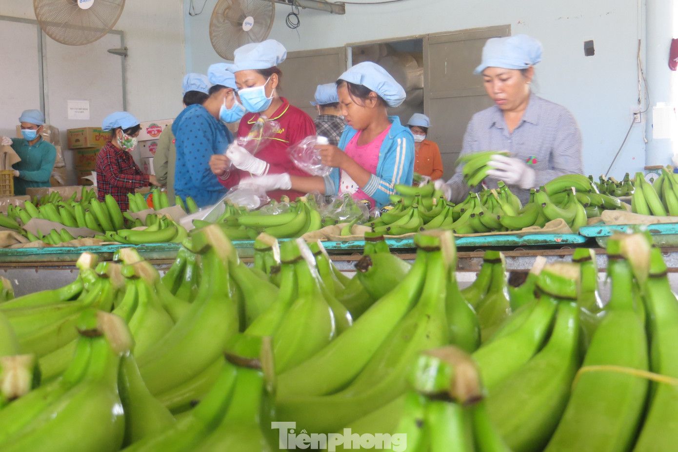 Đàm phán thương mại cần 'ông cho chân giò, bà thò chai rượu'- Ảnh 4.