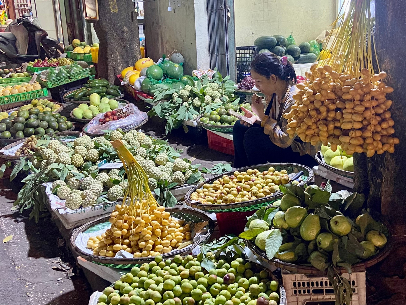 Chà là tươi Thái Lan giá rẻ bán khắp Hà Nội- Ảnh 2.