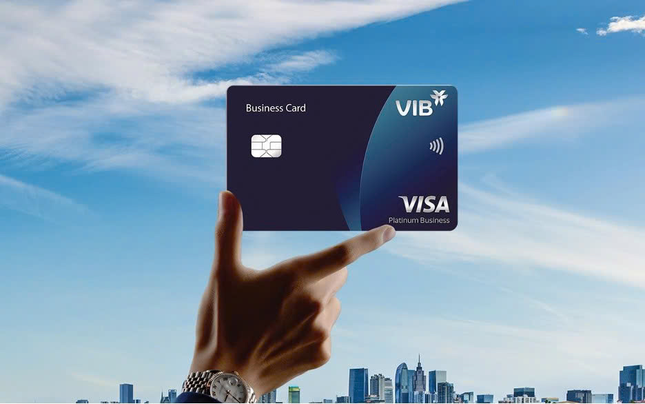 Nhiều doanh nghiệp Việt lựa chọn giải pháp sinh lời của VIB cho dòng vốn ngắn hạn- Ảnh 3. Nhiều doanh nghiệp Việt lựa chọn giải pháp sinh lời của VIB cho dòng vốn ngắn hạn- Ảnh 3.