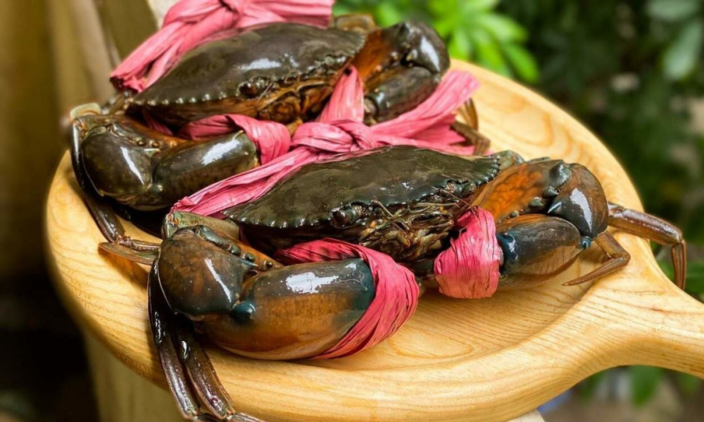 Mặt hàng Việt Nam lập đỉnh 10 năm, thị trưởng tỷ dân mua mạnh: Cơ hội vàng vươn mình trên bản đồ thế giới- Ảnh 1.