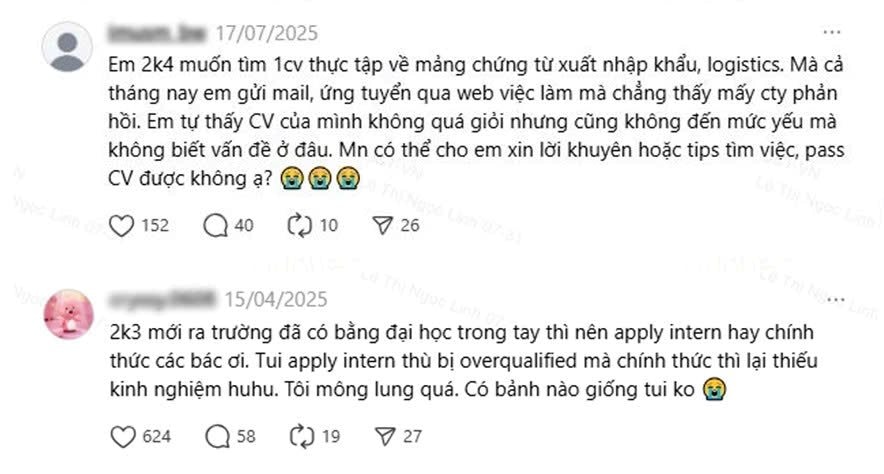 Thực tập sinh - Tạo nguồn: Bệ phóng cho thế hệ trẻ- Ảnh 2.