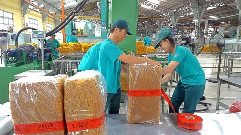 Doanh nghiệp tấp nập chia cổ tức, một công ty xây dựng thưởng cổ phiếu tỷ lệ 100%- Ảnh 1.