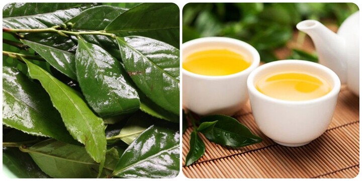 6 nhóm người không nên uống nước chè xanh- Ảnh 1.