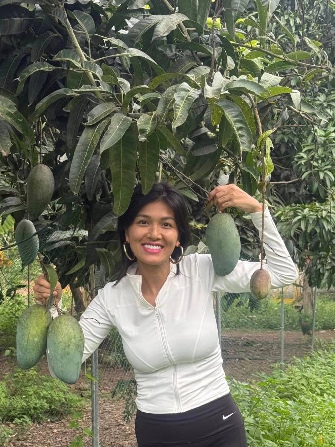 Hoa hậu đông con nhất Việt Nam thông báo nợ 10 tỷ, muốn sang Campuchia làm lại từ đầu- Ảnh 3.