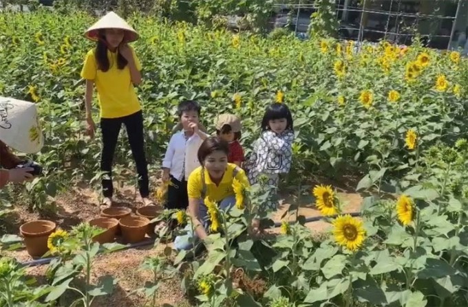 Hoa hậu đông con nhất Việt Nam thông báo nợ 10 tỷ, muốn sang Campuchia làm lại từ đầu- Ảnh 2.