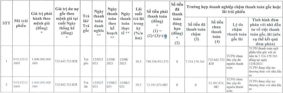 Novaland tiếp tục ‘khất nợ’ hơn 857 tỷ đồng gốc, lãi trái phiếu- Ảnh 1.