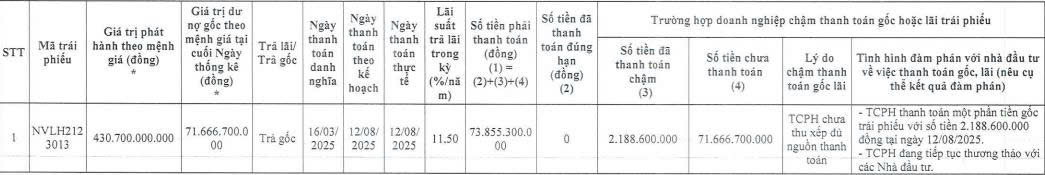 Novaland tiếp tục ‘khất nợ’ hơn 857 tỷ đồng gốc, lãi trái phiếu- Ảnh 2.