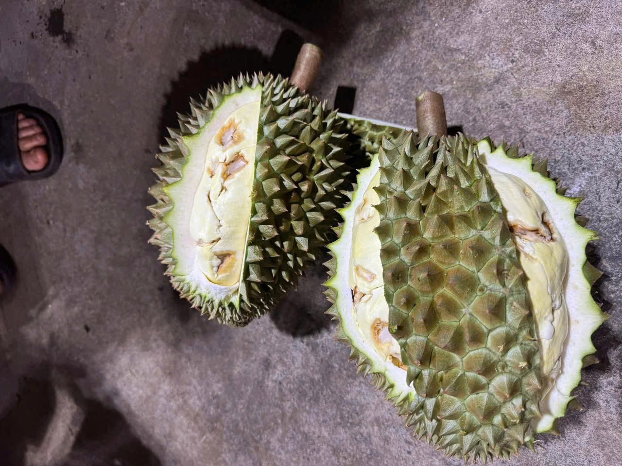Sầu riêng sượng nước, nông dân Đắk Lắk bất lực nhìn giá rớt thảm- Ảnh 4.