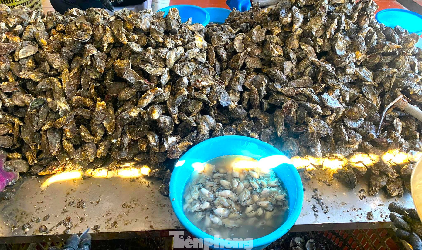 Chuyện gì đang xảy ra với hàu Quảng Ninh?- Ảnh 9.