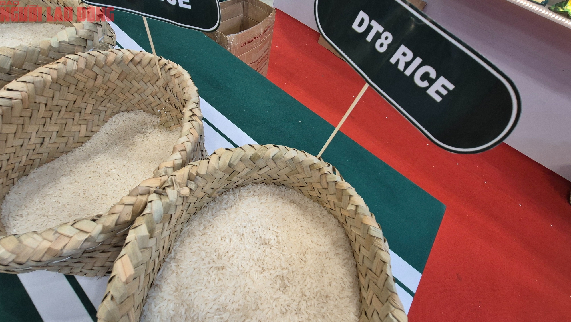 Thông tin mới nhất về việc Philippines tạm ngừng nhập khẩu gạo- Ảnh 1.