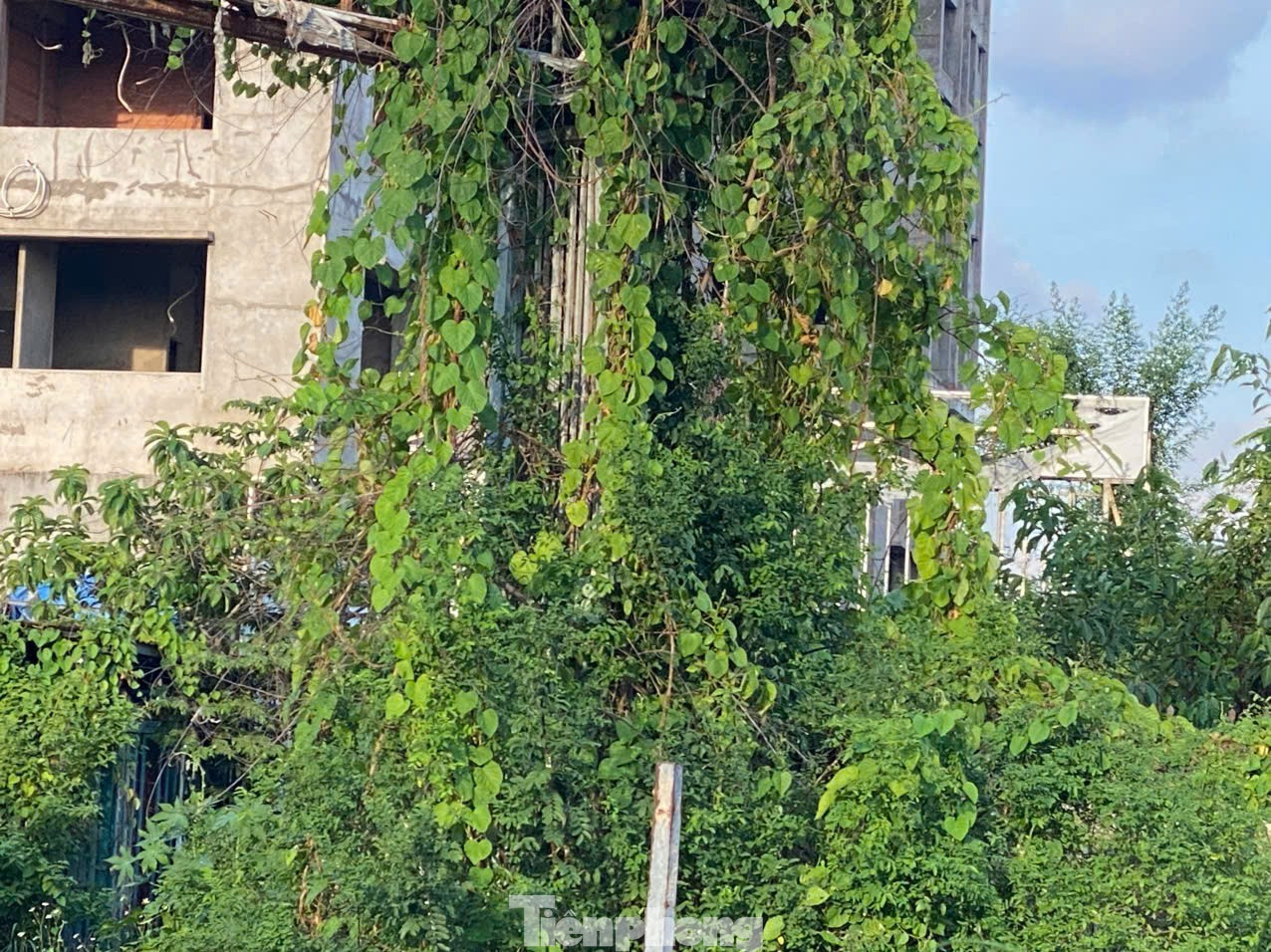 Cảnh tả tơi ở dự án Kingsway Tower, lừa bán cho gần 500 khách hàng- Ảnh 2.