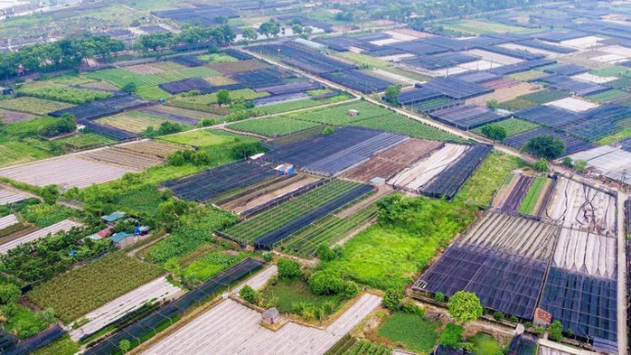 Nhiều quy định mới về đất đai có hiệu lực từ ngày 15-8- Ảnh 1. Nhiều quy định mới về đất đai có hiệu lực từ ngày 15-8- Ảnh 1.