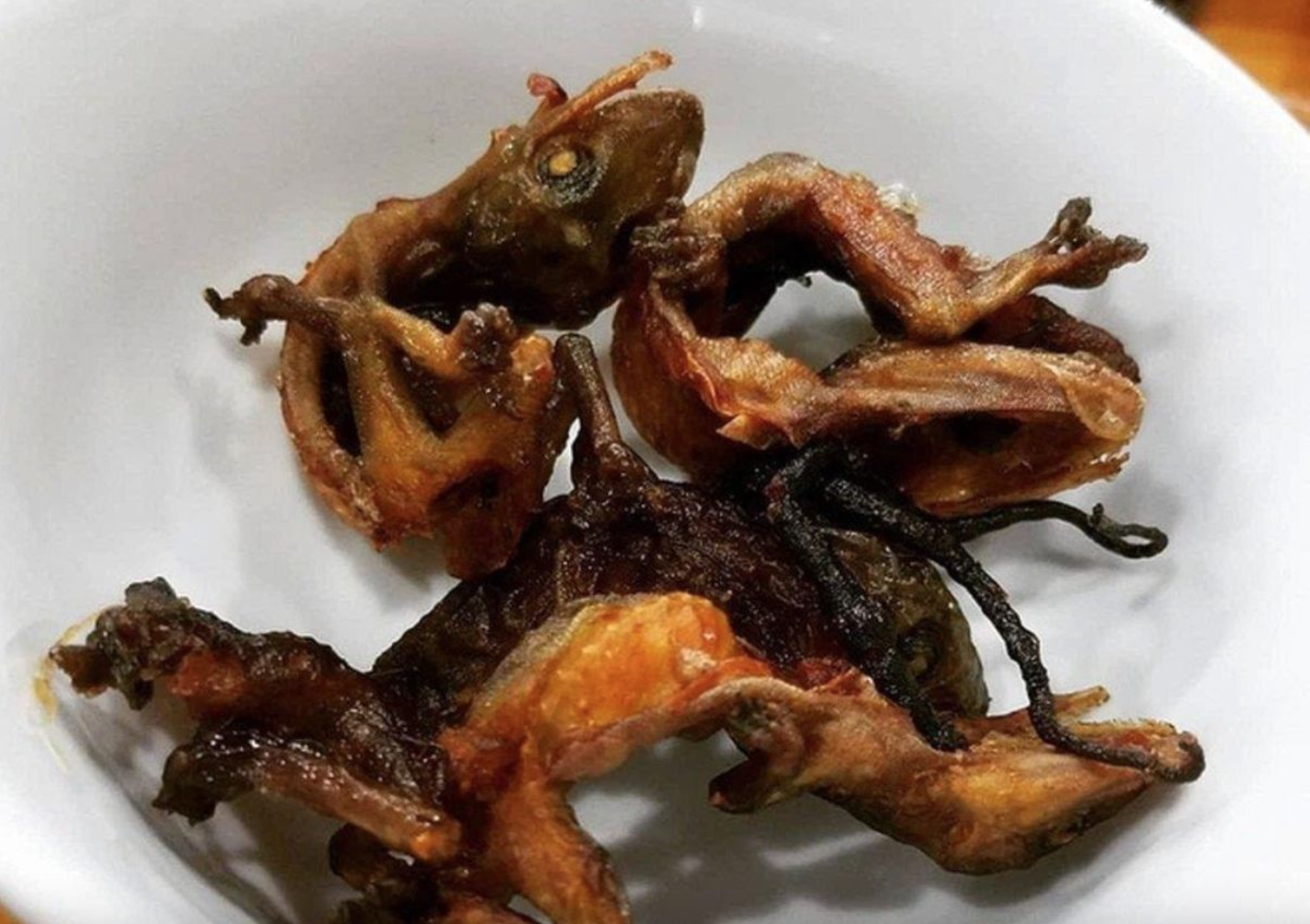 Lên núi Bà Đen săn "quái vật" siêu đặc sản: Cực hiếm, dân tình đồn ăn một lần là nhớ cả đời- Ảnh 2.