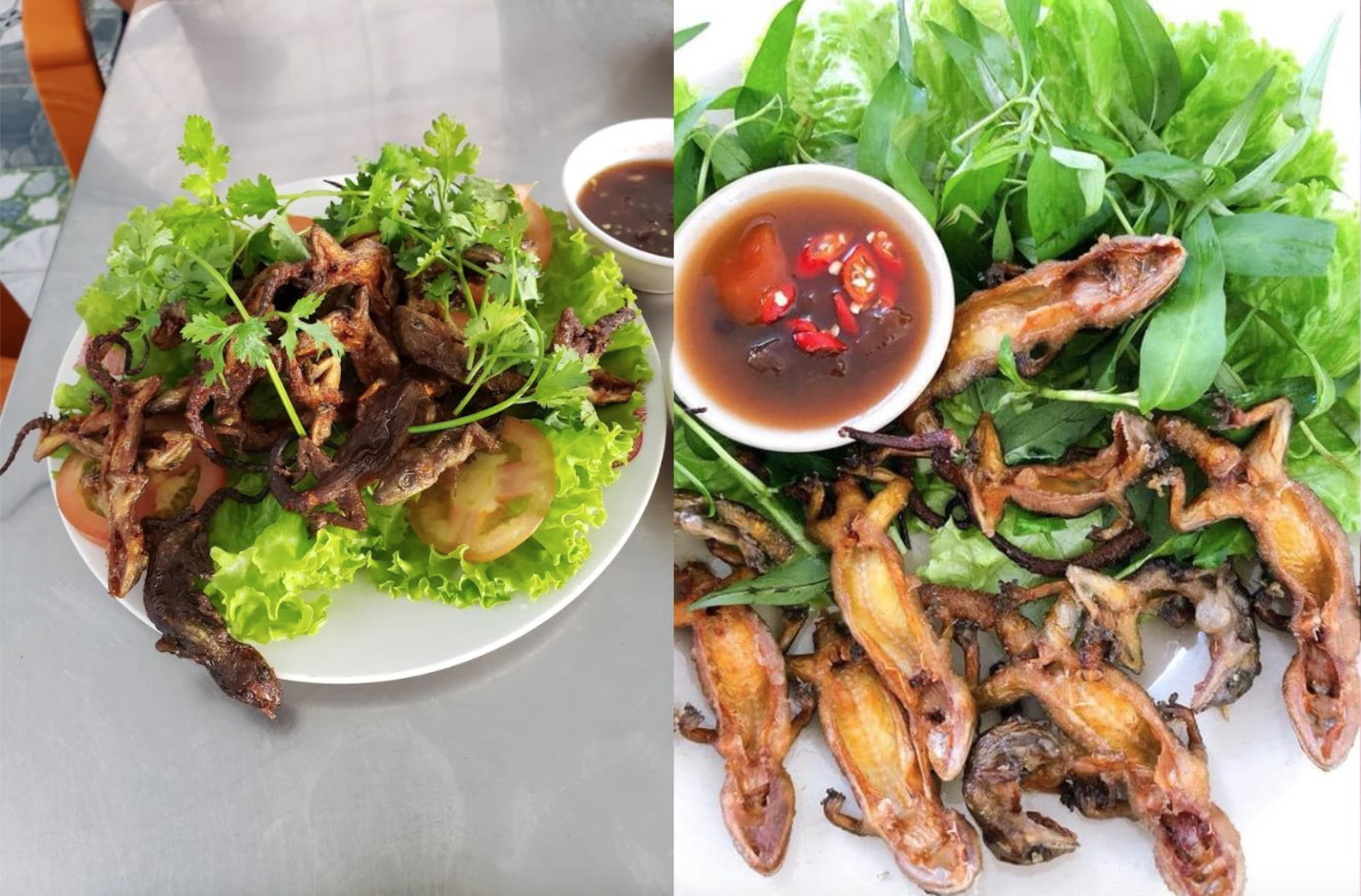 Lên núi Bà Đen săn "quái vật" siêu đặc sản: Cực hiếm, dân tình đồn ăn một lần là nhớ cả đời- Ảnh 3.