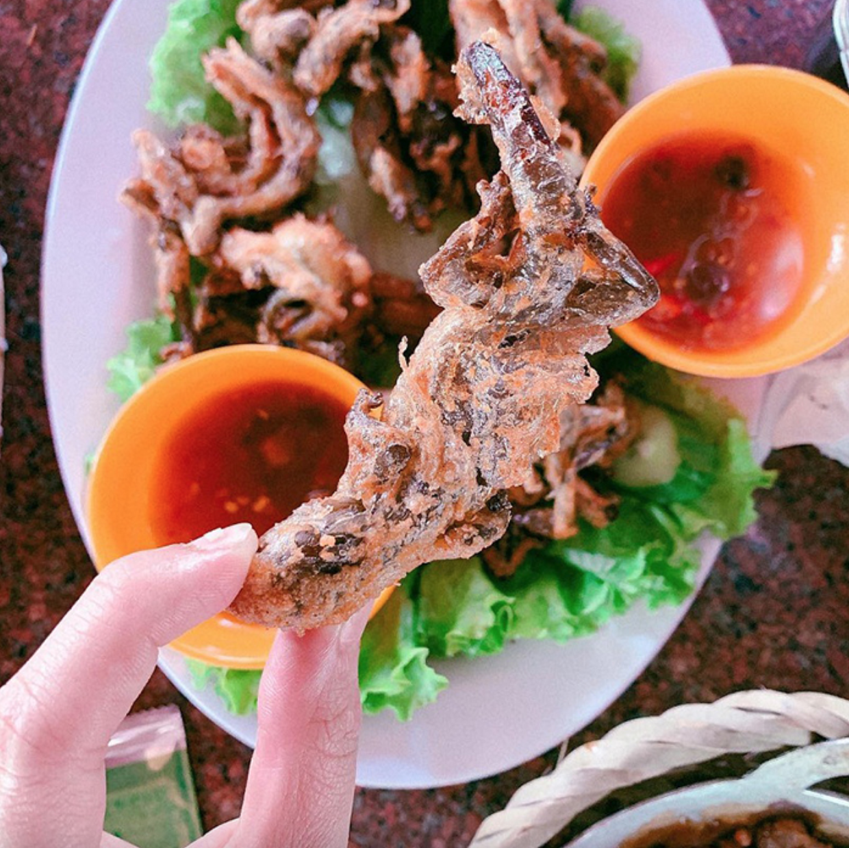 Lên núi Bà Đen săn "quái vật" siêu đặc sản: Cực hiếm, dân tình đồn ăn một lần là nhớ cả đời- Ảnh 4.