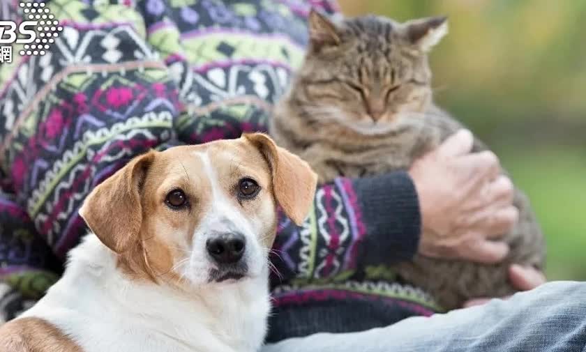 Có 3 con, cụ bà vẫn không cho ai thừa kế tài sản, viết cái tên bất ngờ vào di chúc, hưởng trọn 73 tỷ đồng- Ảnh 1.