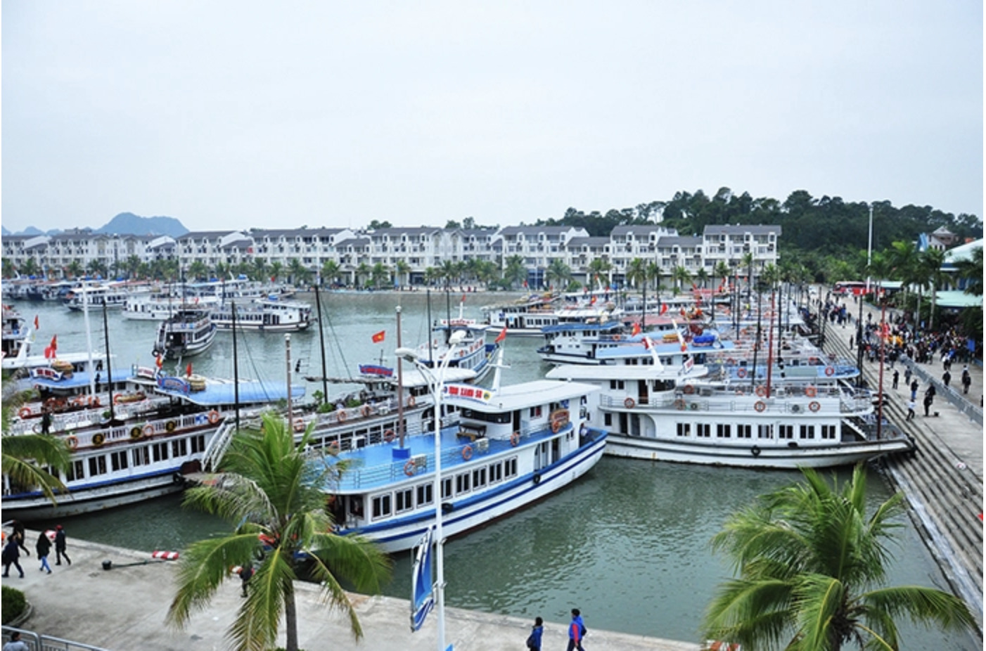 Quảng Ninh tạm ngừng cấp phép các hoạt động tham quan, lưu trú trên vịnh Hạ Long- Ảnh 1. Quảng Ninh tạm ngừng cấp phép các hoạt động tham quan, lưu trú trên vịnh Hạ Long- Ảnh 1.