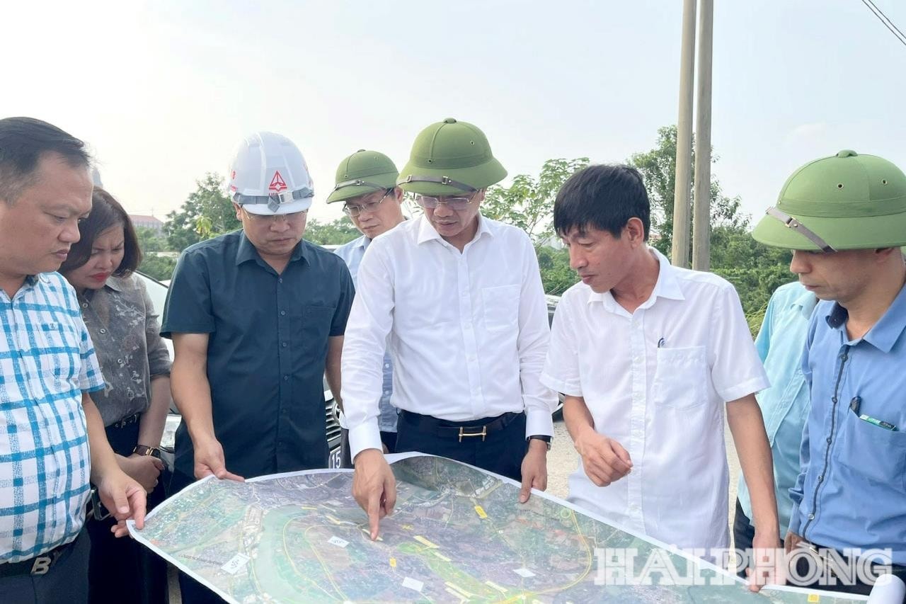 Người dân Hải Phòng sẽ vui mừng khi biết thông tin này- Ảnh 2. Người dân Hải Phòng sẽ vui mừng khi biết thông tin này- Ảnh 2.