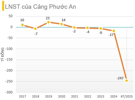 Lỗ luỹ kế 6 tháng gần 250 tỷ đồng, một công ty bất ngờ bổ nhiệm nữ lãnh đạo sinh năm 2002- Ảnh 1.