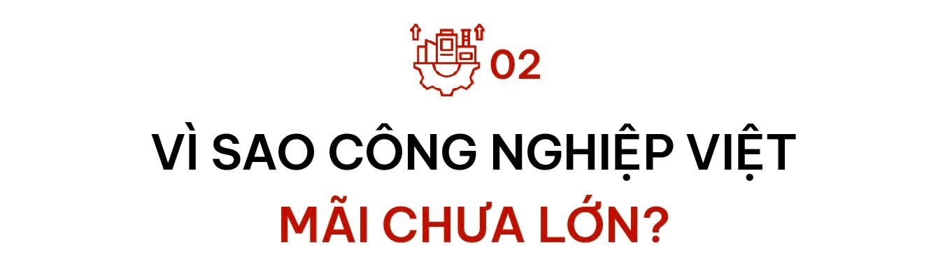 TS. Lê Xuân Nghĩa: VinFast, Trường Hải, Hòa Phát... đều đang mở đường, nhưng Việt Nam vẫn cần cú hích để công nghiệp hóa thật sự- Ảnh 3. TS. Lê Xuân Nghĩa: VinFast, Trường Hải, Hòa Phát... đều đang mở đường, nhưng Việt Nam vẫn cần cú hích để công nghiệp hóa thật sự- Ảnh 3.