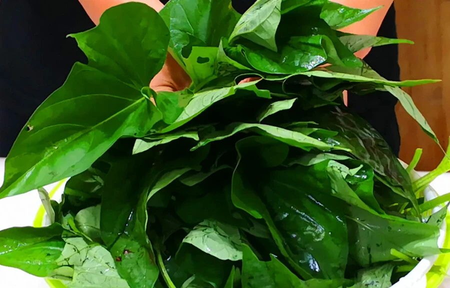 3 loại rau mùa hè không lo thuốc trừ sâu lại giàu dinh dưỡng- Ảnh 1. 3 loại rau mùa hè không lo thuốc trừ sâu lại giàu dinh dưỡng- Ảnh 1.
