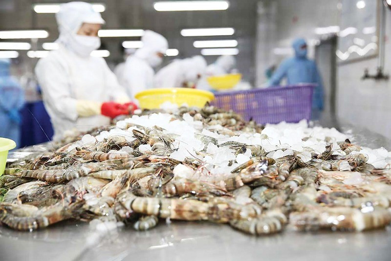 Ngành hàng xuất khẩu tỷ USD kiến nghị bỏ thuế VAT- Ảnh 1. Ngành hàng xuất khẩu tỷ USD kiến nghị bỏ thuế VAT- Ảnh 1.