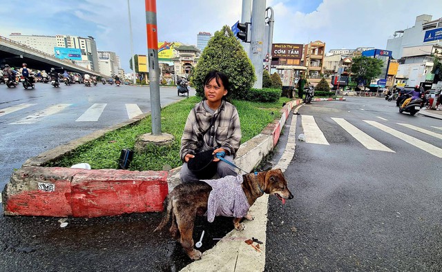 Câu chuyện sau bức ảnh cô bé ăn xin ôm chú chó già ở ngã tư Hàng Xanh- Ảnh 11. Câu chuyện sau bức ảnh cô bé ăn xin ôm chú chó già ở ngã tư Hàng Xanh- Ảnh 11.