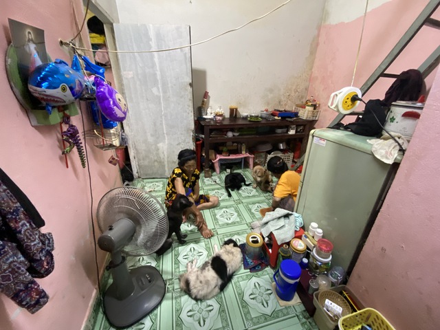 Câu chuyện sau bức ảnh cô bé ăn xin ôm chú chó già ở ngã tư Hàng Xanh- Ảnh 7. Câu chuyện sau bức ảnh cô bé ăn xin ôm chú chó già ở ngã tư Hàng Xanh- Ảnh 7.