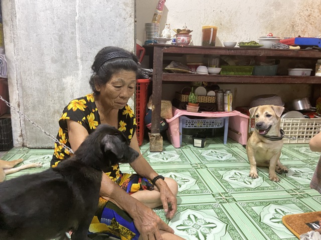 Câu chuyện sau bức ảnh cô bé ăn xin ôm chú chó già ở ngã tư Hàng Xanh- Ảnh 9. Câu chuyện sau bức ảnh cô bé ăn xin ôm chú chó già ở ngã tư Hàng Xanh- Ảnh 9.