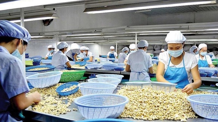 Mỹ áp thuế 20% với hàng Việt Nam: Doanh nghiệp, chuyên gia kỳ vọng giảm thêm- Ảnh 1. Mỹ áp thuế 20% với hàng Việt Nam: Doanh nghiệp, chuyên gia kỳ vọng giảm thêm- Ảnh 1.