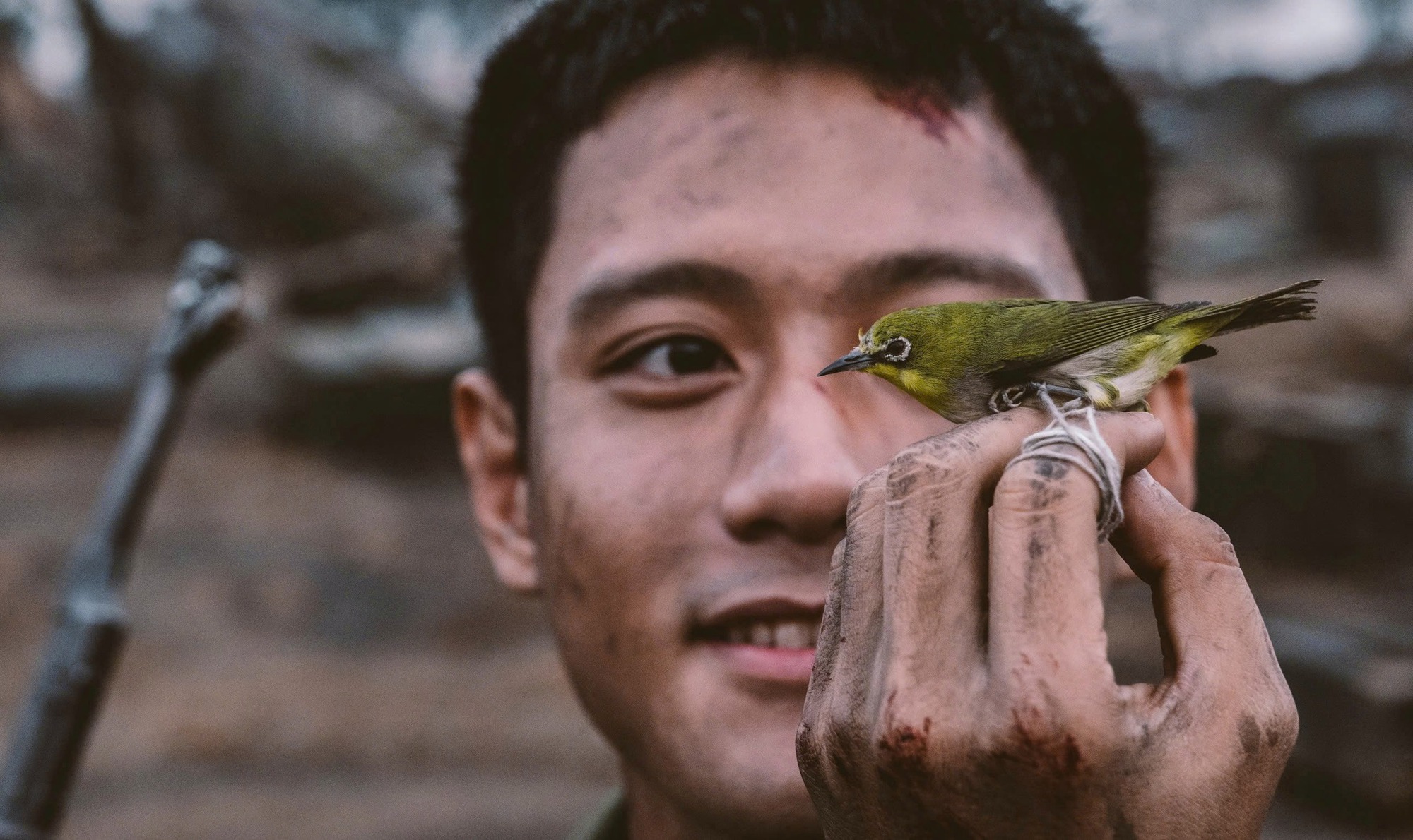 Phim Việt có độ hot tăng 194% được tung hô khắp MXH, netizen nức nở Phim Việt có độ hot tăng 194% được tung hô khắp MXH, netizen nức nở