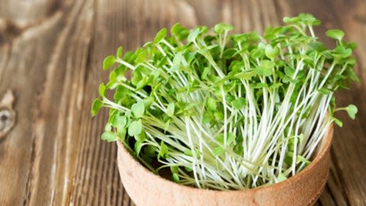 Nhật Bản công bố 5 thực phẩm nên ăn hằng ngày: Trứng chỉ đứng thứ 5, “vua dinh dưỡng” gọi tên món này- Ảnh 3.