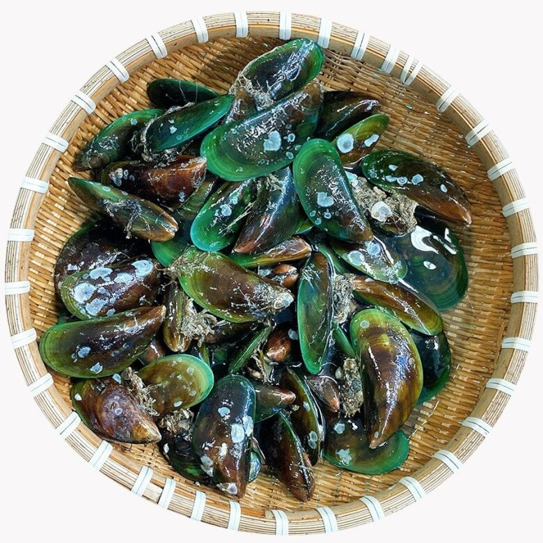 Một loại đặc sản quý của Việt Nam, xưa bám đầy ghềnh đá ít ai nhặt, nay được ví là “nhân sâm vùng biển”, người nước ngoài mê tít- Ảnh 1.