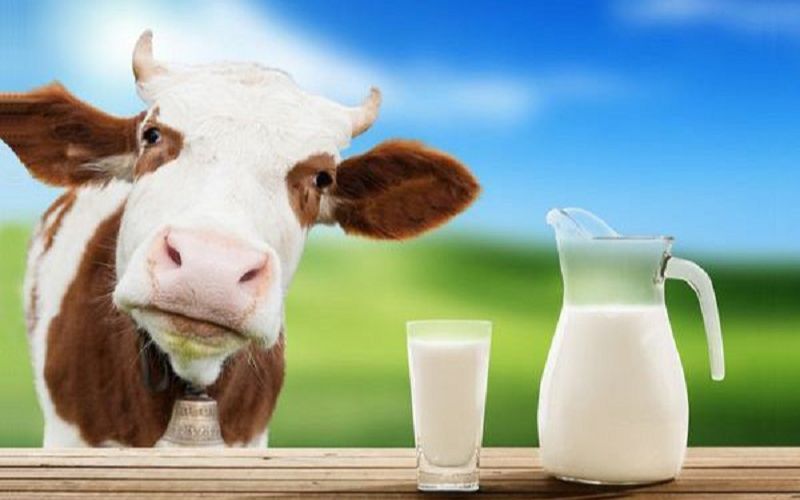 Nhiễu loạn thị trường sữa, đề xuất phân biệt rõ sữa tươi với sữa bột pha nước- Ảnh 1.