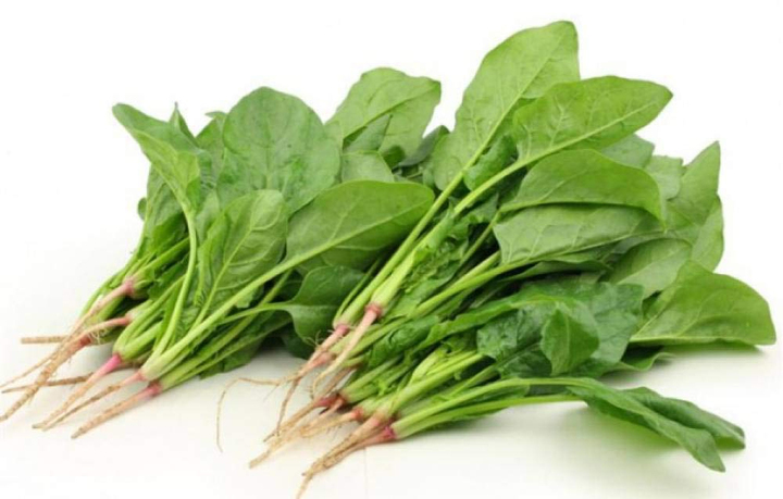 Ăn cải bó xôi, 2 nhóm người này phải chần để tránh gây sỏi thận- Ảnh 1.