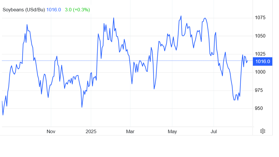 Nguy cơ ế hàng tỷ USD tiền hàng, nông dân Mỹ gửi 'tâm thư' lên Tổng thống Donald Trump, thúc giục làm ngay một điều với Trung Quốc- Ảnh 2.