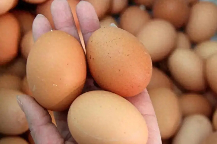 Ăn trứng kiểu này sẽ gây hại cơ thể- Ảnh 2.