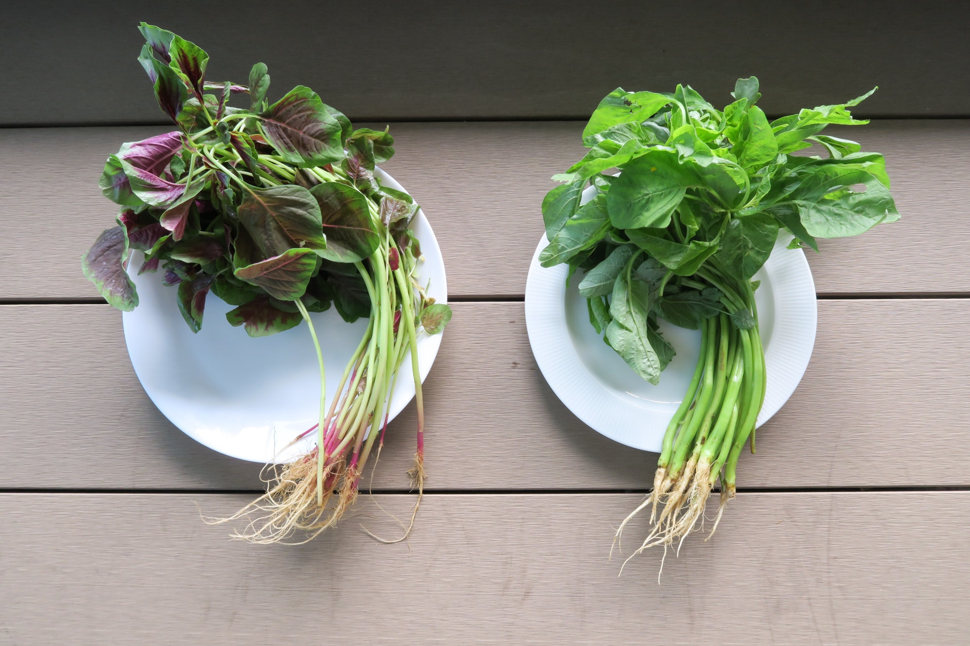 1 loại rau Việt được ví như "thịt bò của người nghèo", siêu bổ máu, tốt cho não, "trẻ hóa" tim mạch- Ảnh 2.