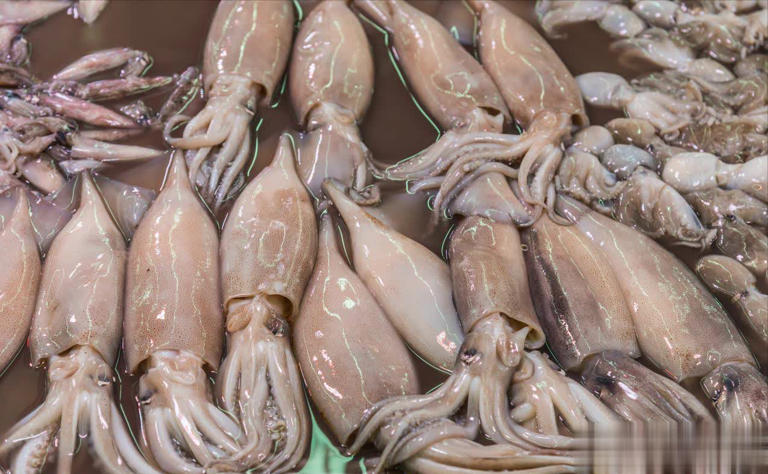 5 loại cá biển hoang dã, không thể nuôi nhân tạo vừa rẻ vừa béo ngậy, bổ như sâm lại ngon “hết nước chấm”- Ảnh 2. 5 loại cá biển hoang dã, không thể nuôi nhân tạo vừa rẻ vừa béo ngậy, bổ như sâm lại ngon “hết nước chấm”- Ảnh 2.