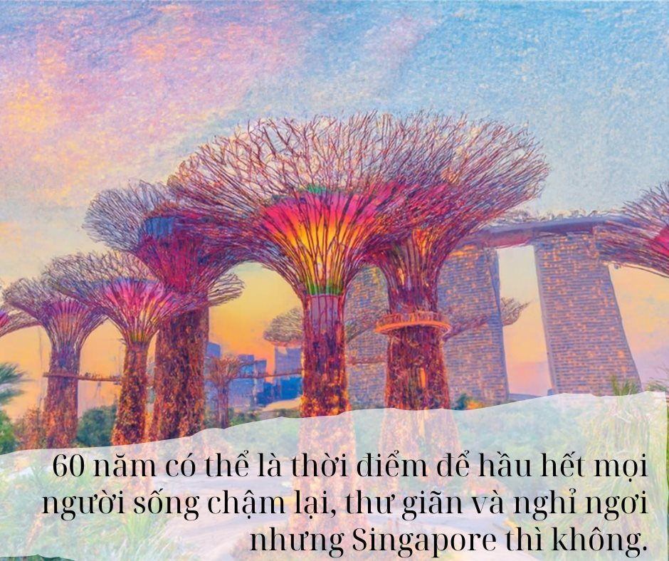 Từ bãi lầy trở thành siêu cường kinh tế, quốc gia ĐNÁ này giờ đây đối mặt thách thức “sống còn” ở tuổi 60- Ảnh 5.