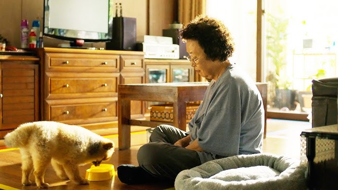 Ở tuổi 65, tôi đau lòng nhận ra: Con cái bất hiếu là do bản thân từng làm 6 điều này- Ảnh 1.