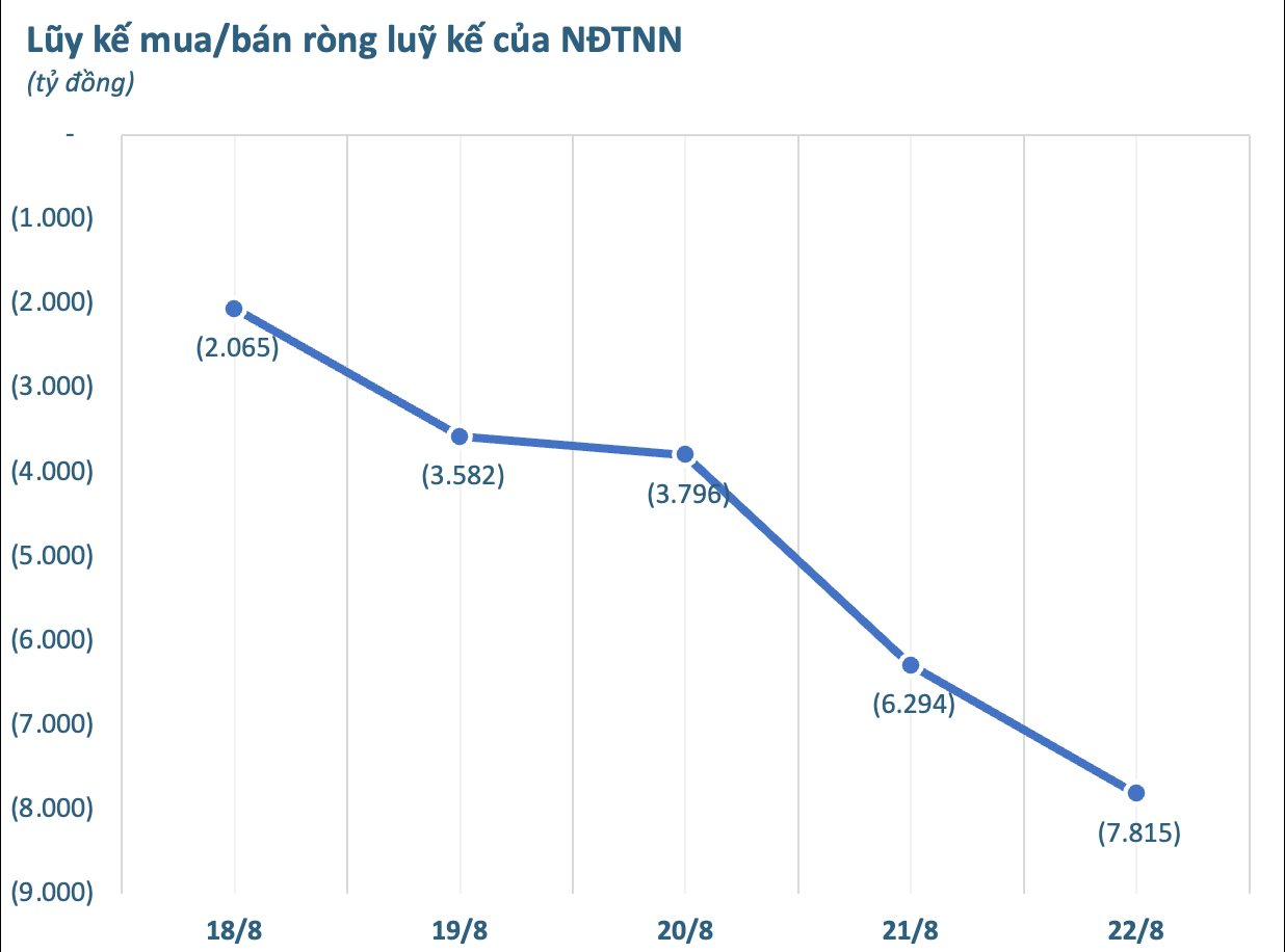 Hai mã Bluechips bị khối ngoại "thẳng tay" xả hàng nghìn tỷ trong tuần 18-22/8, ngược chiều cổ phiếu chứng khoán được gom mạnh- Ảnh 1.