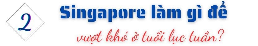 GDP tăng 560 lần kể từ khi lập quốc, "con hổ" của ĐNÁ này giờ đây đối mặt thách thức “sống còn” ở tuổi 60- Ảnh 5.