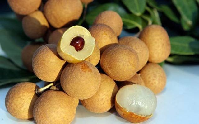 Trung Quốc ồ ạt thu mua một loại quả “vương giả chi quả” mà Việt Nam dự kiến có sản lượng hơn 50.000 tấn- Ảnh 2.