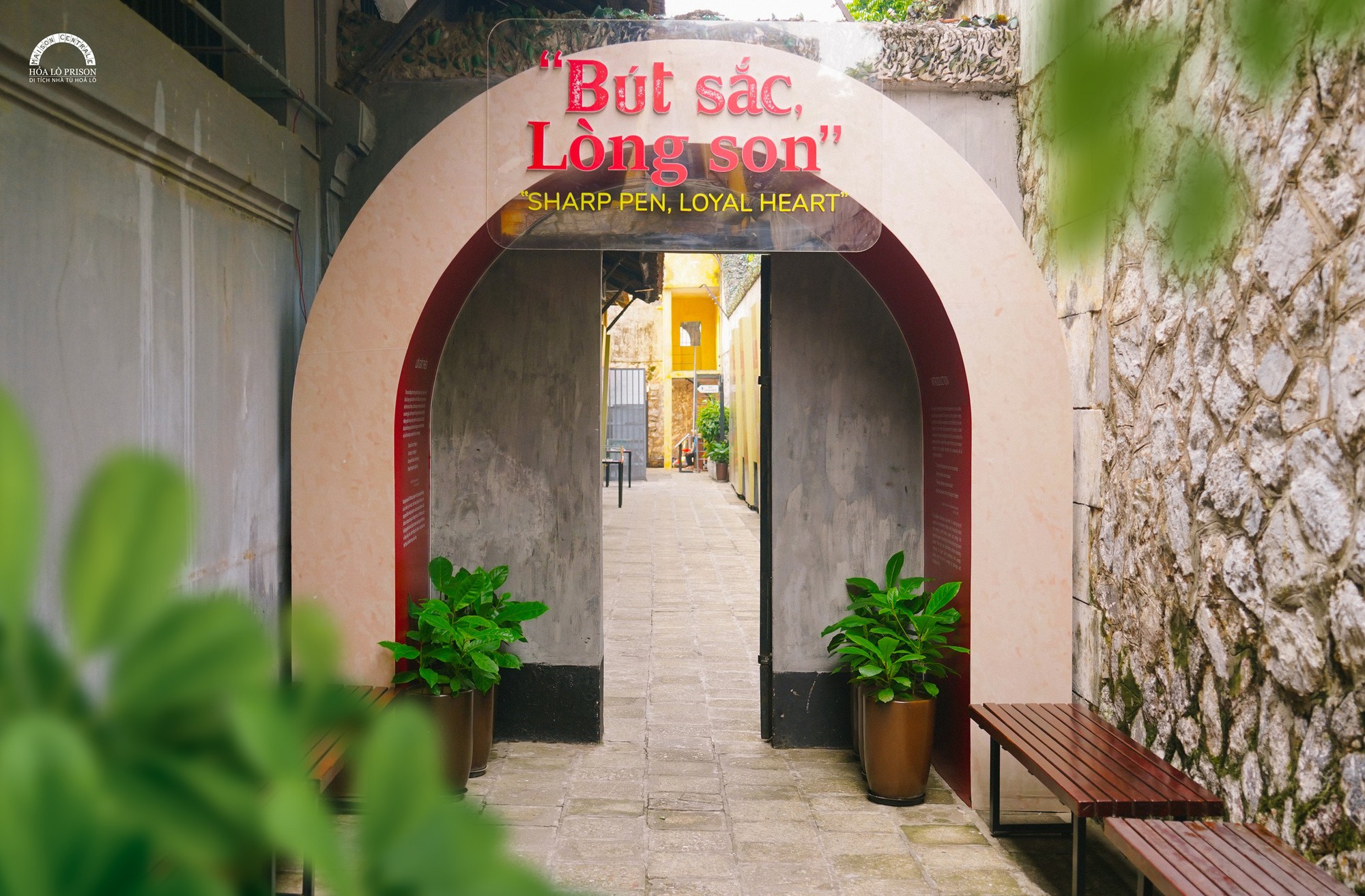 Những triển lãm Những triển lãm