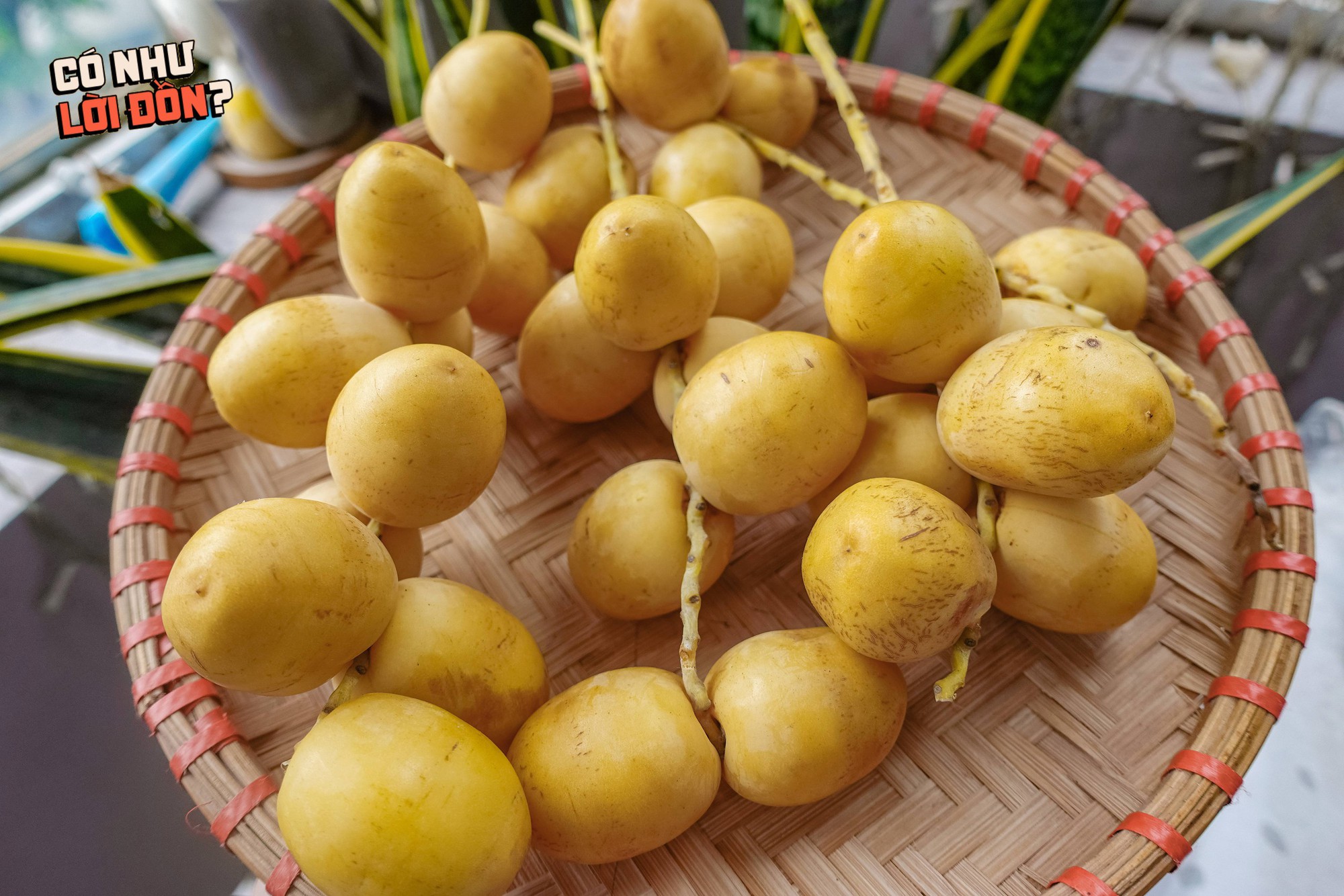 Check var loại quả Check var loại quả