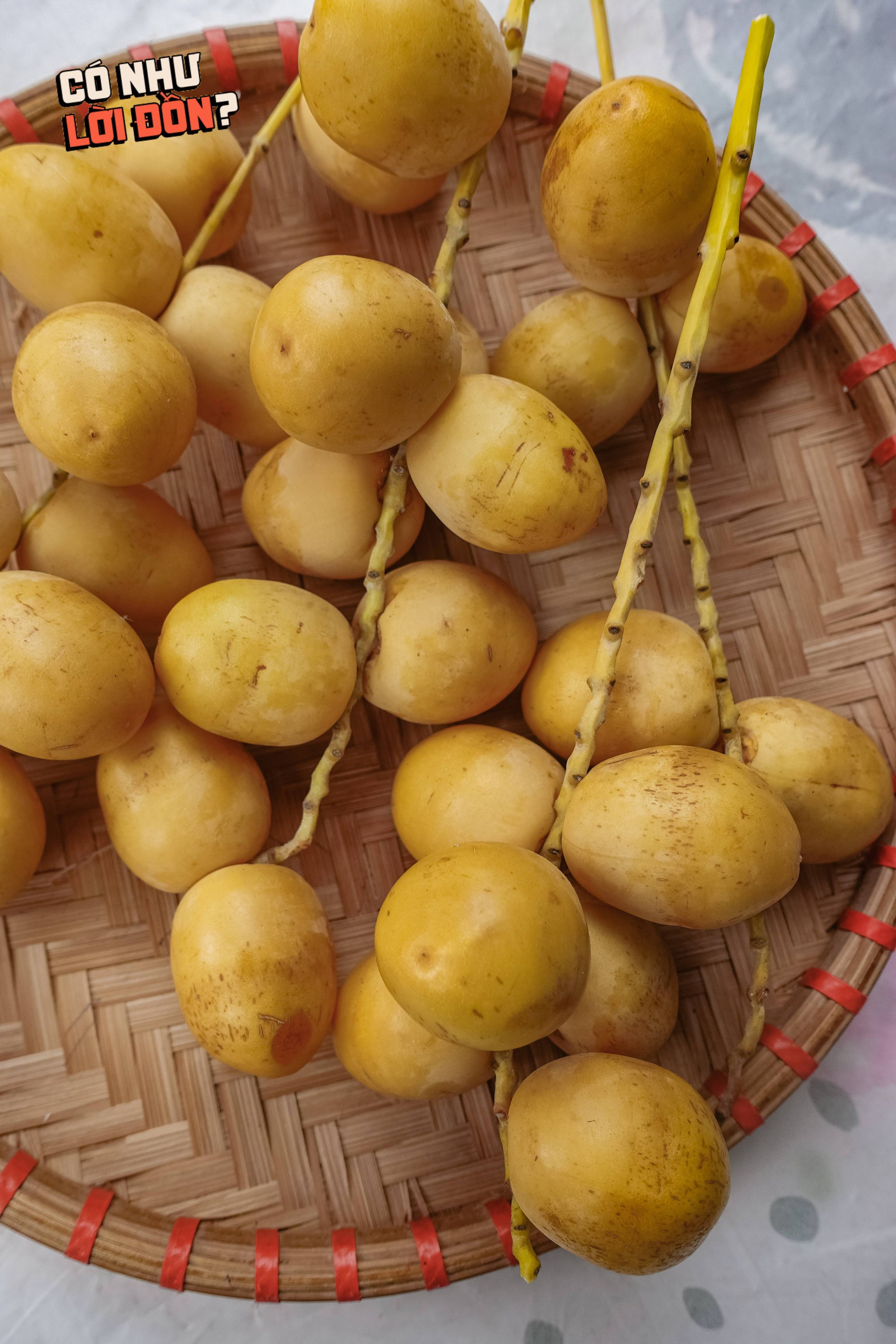 Check var loại quả Check var loại quả